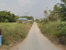 A rural dirt road with houses and greenery