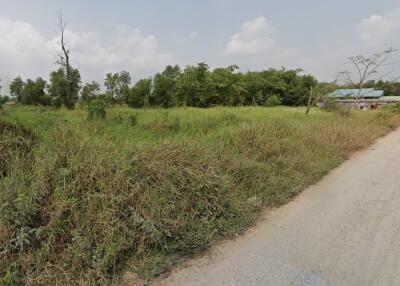 Empty plot of land with dirt road