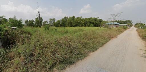 Empty plot of land with dirt road