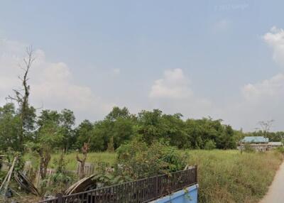 Vacant plot of land with some trees and a small structure visible in the background
