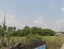 Vacant plot of land with some trees and a small structure visible in the background