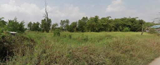 Vacant Land with Trees