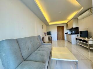 Main living area with sofa, coffee table, kitchenette, and TV