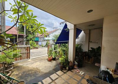 Covered outdoor patio area with plants