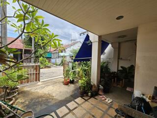 Covered outdoor patio area with plants