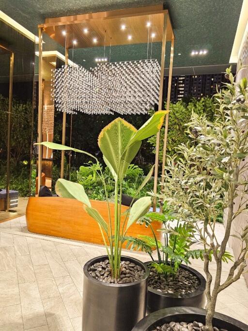 Modern lobby with plants and elegant lighting