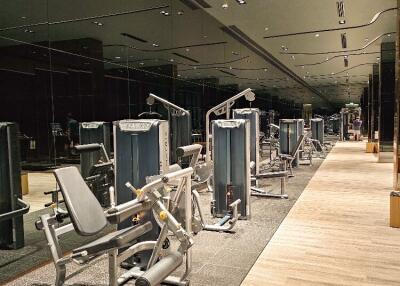 Modern gym with various exercise equipment