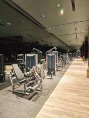 Modern gym with various exercise equipment