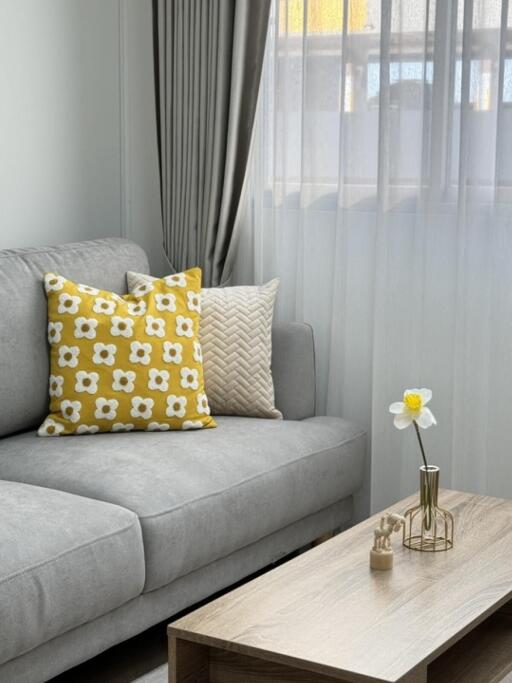 Cozy living room with grey sofa and decorative pillows