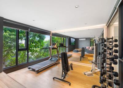 Well-equipped home gym with large windows and equipment
