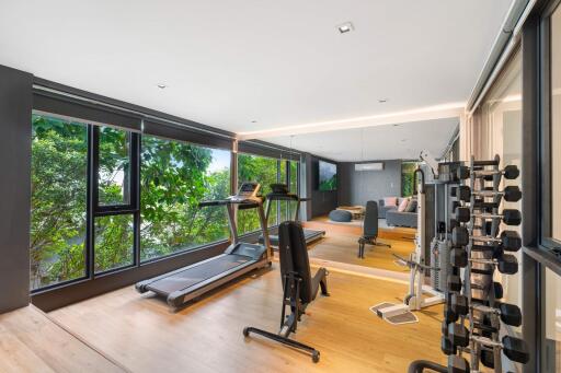 Well-equipped home gym with large windows and equipment