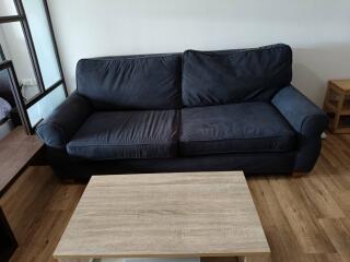 Living room with dark sofa and wooden coffee table