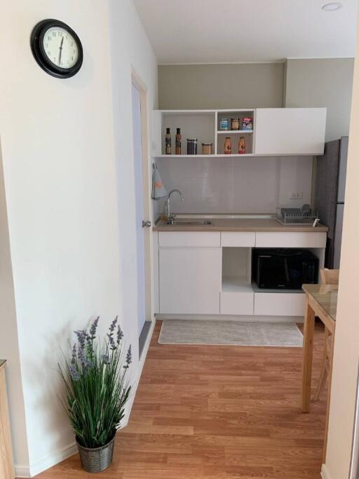 Modern kitchen with white cabinetry and wooden flooring