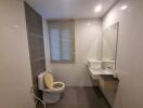 Modern bathroom with toilet, sink, and large mirror.