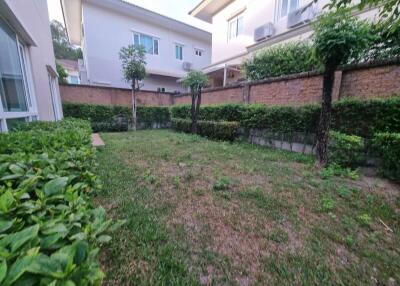 Spacious backyard with greenery and trees