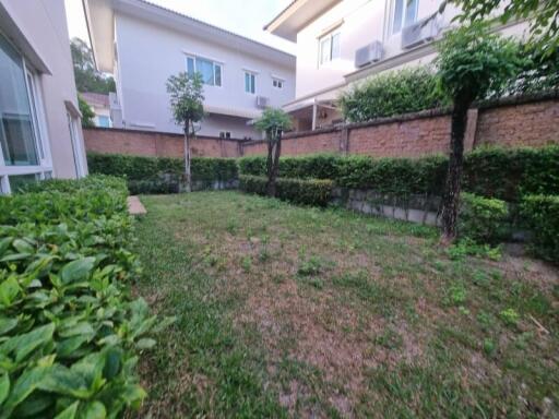 Spacious backyard with greenery and trees