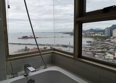 Bathroom with a view