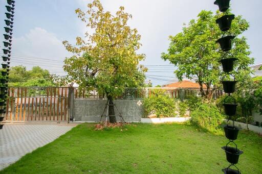 Backyard with fence and trees