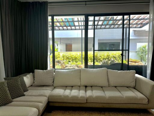 Modern living room with large windows and comfortable couch