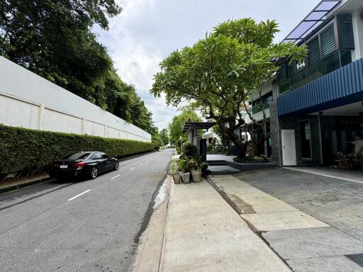 Quiet residential street with parked car and modern homes