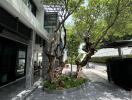 Outdoor front yard with trees and modern house facade