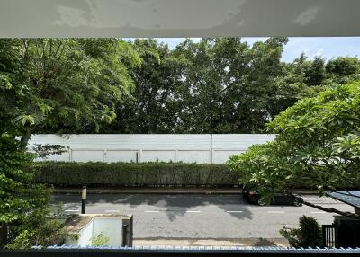 View of the street and trees from a balcony