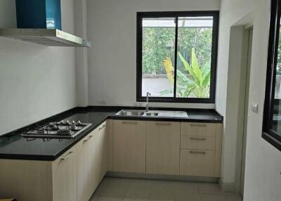 Modern kitchen with window, sink, and gas stove