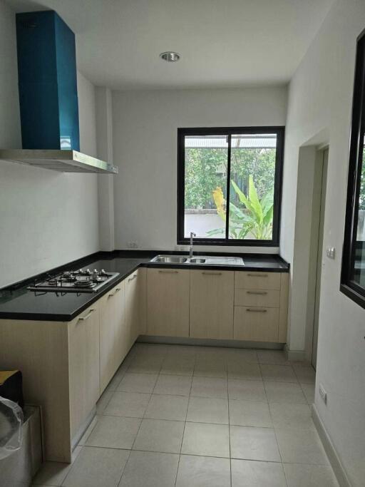 Modern kitchen with window, sink, and gas stove