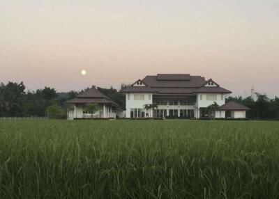 A modern house 5 bedrooms 7 bathrooms for rent or sale in Mae Rim, Chiang Mai