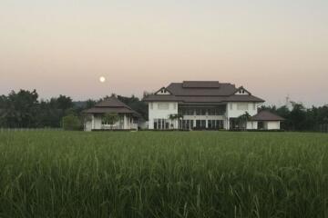 A modern house 5 bedrooms 7 bathrooms for rent or sale in Mae Rim, Chiang Mai