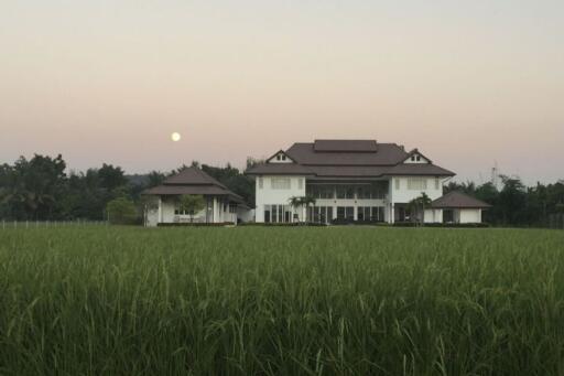 A modern house 5 bedrooms 7 bathrooms for rent or sale in Mae Rim, Chiang Mai