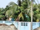 Exterior view of a house with a blue fence and lush tropical vegetation