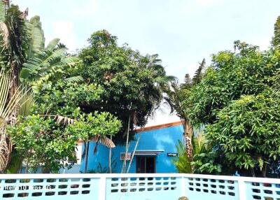 A vibrant building surrounded by lush greenery