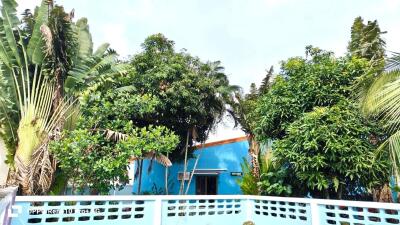 A vibrant building surrounded by lush greenery