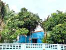 A vibrant building surrounded by lush greenery