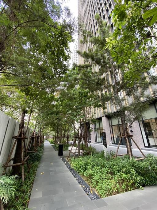 Pathway with trees beside a tall building