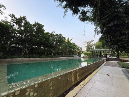 Outdoor swimming pool with greenery