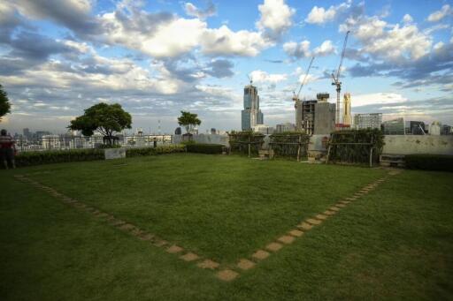 Rooftop garden with city view