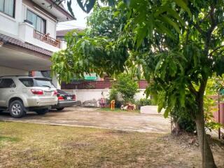 Driveway with parked cars and a tree