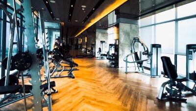 Modern gym with various fitness equipment