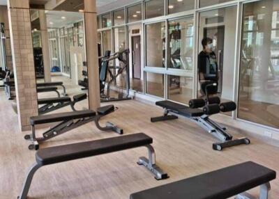 Modern gym with equipment and large mirrors