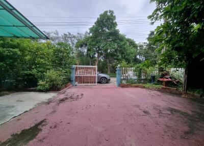 Driveway with gate and trees