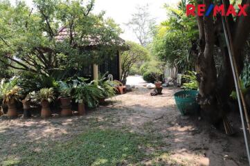 A lush garden space with potted plants and shaded seating area