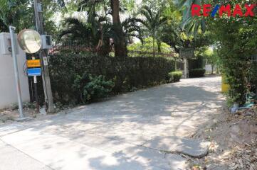 Driveway and entrance to a property with lush greenery