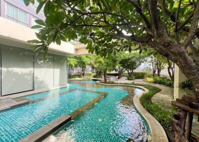 Outdoor swimming pool with a garden