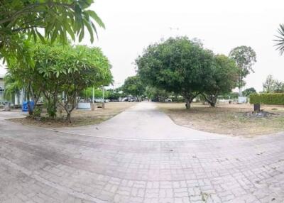 Spacious garden with trees and paved path