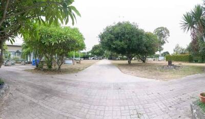 Spacious garden with trees and paved path