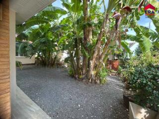 Lush garden with banana trees and gravel pathway