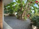 Lush garden with banana trees and gravel pathway