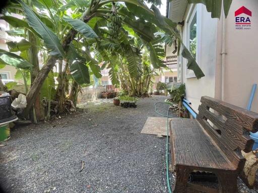 Outdoor garden space with banana trees and a bench
